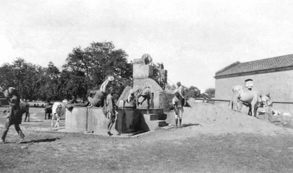 Waterput, Mathura, India, 1916-1917