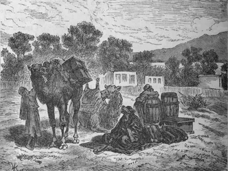 Wells van Mozes, nabij Suez, c1882