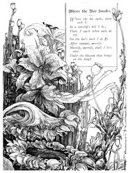 Waar de Bij Zuigt, 1895