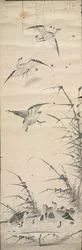 Wilde Ganzen en Riet, 1392-1910