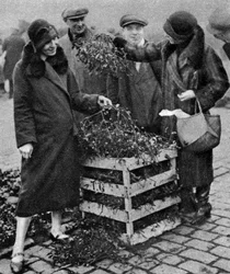 Vrouwen kiezen mistletoe, Caledonian Market, Londen