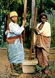 Vrouwen die rijst stampen, Madagaskar, laat 19e eeuw