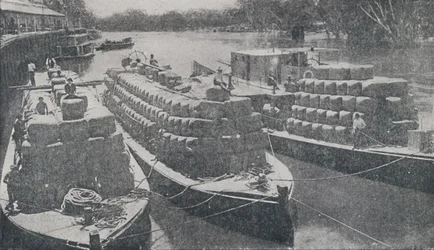 Wol Barges op de Murray River