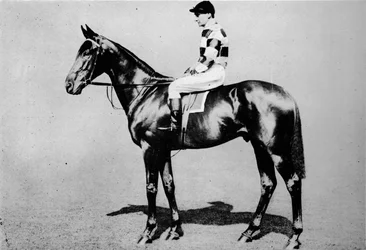 Wolopwinder, 1904-1928