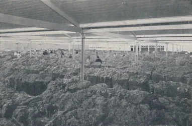 Wol te koop in een showroom in Melbourne, 1923