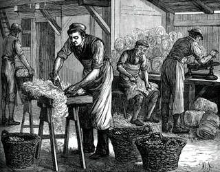 Wol sorteerders, c1880