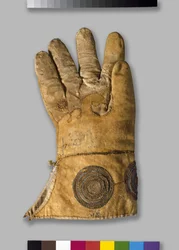 Valkenhandschoen, uit de Tradescant-collectie