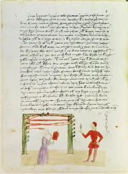 Zijde spinnen uit Precetti dell