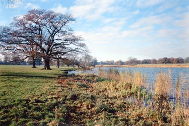 Uitzicht op het meer, Corsham Court, Wiltshire