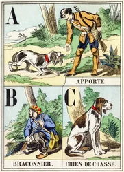 A B C: Breng, Stroper, Jachthond - Het Jachtalfabet, ca. 1890 (gravure)