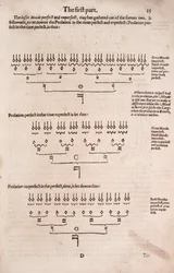 Een eenvoudige en gemakkelijke inleiding tot praktische muziek