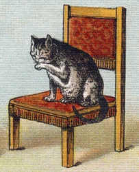 Een kat op een stoel. Gravure in "Alfabet van mijn kleine meisje". Bernardin-Bechet en Fils, boekhandel-uitgevers, Parijs, circa 1895.