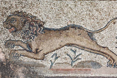 Een leeuw - Detail van een fries die scènes van een jacht uitbeeldt naast het paneel dat het eerste bad van Achilles voorstelt - Paphos Mozaïeken, Villa van Theseus, 5e eeuw na Christus - Cyprus