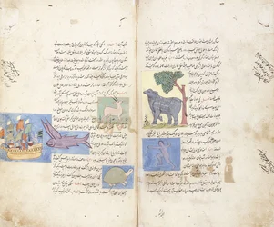 Een pagina uit het Perzische manuscript "Aja