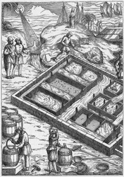 Een zoutmoeras in de 16e eeuw (gravure)