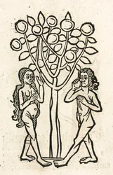 Adam en Eva onder de Boom der Kennis