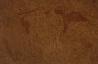 Algerije, Sahara woestijn, Tassili-n-Ajjer Nationaal Park, site van Sefar, rotsschildering die een stier afbeeldt