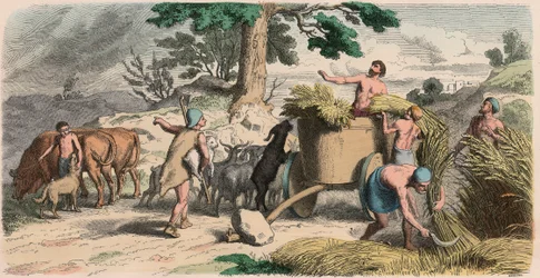 Oud Griekenland: Leven op het platteland
