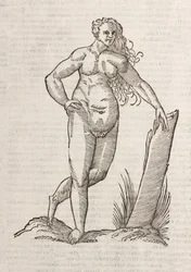Androgynos