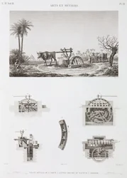 Dierkracht Dier-aangedreven irrigatie, Egypte, ca. 1798