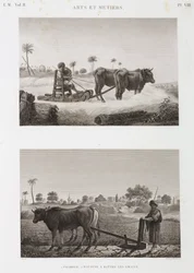 Akkerbouw, ploegen, dorsmachine en ploeg, Egypte, ca. 1798