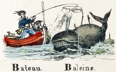 B - Boot Walvis - Alfabet - kinderentertainment - Image epinal, populaire serie c.1890