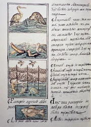 Vogeljacht op het meer, pagina uit de Florentijnse Codex, tweetalige versie in Spaans en Nahuatl, Algemene Geschiedenis van de Dingen van Nieuw-Spanje, door de Spaanse missionaris Fray Bernardino de Sahagun (1499-1590). Azteekse beschaving