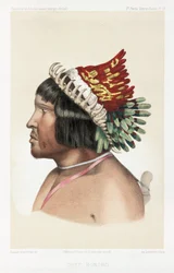 Bororo-hoofdman, Zuid-Amerika, ca. 1843-1847