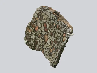 Carbonee chondriet (CBA). Gevallen in Gujba (Nigeria) in 1984. Nationaal Natuurhistorisch Museum, Parijs