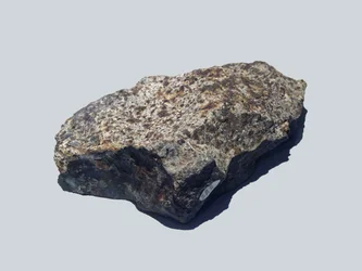 Gewone chondriet (L5). gevallen in Valera (Venezuela) in 1972. Natural History Museum, Londen.