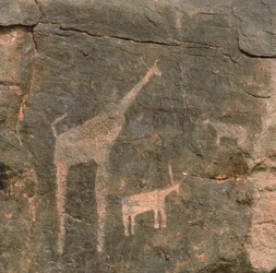 Close-up van prehistorische schilderingen, Tenere Woestijn, Niger
