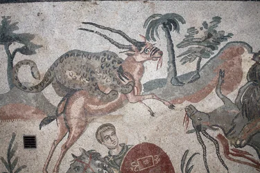 Detail van het mozaïek van de grote jacht. Een luipaard valt een gazelle aan. 3e - 4e eeuw. Romeinse Villa van de Casale, Sicilië. UNESCO-site.