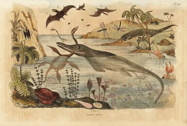 Uitgestorven dinosaurussen, ichthyosaurus, plesiosaurus, zeedieren, pterodactylen, hagedissen, schildpadden, insecten, vissen, inktvissen, weekdieren, enz.