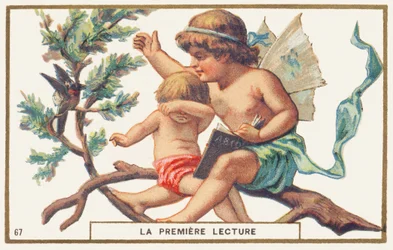 Eerste lezing, witte achtergrond. Reclamechromolithografie die twee kinderen op een tak afbeeldt. De grootste, met vleugels op de rug (een engel?) houdt een abecedarium open in één hand; met zijn andere hand wil hij een vogel verjagen die de lezing stoort