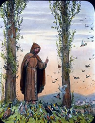 Franciscus