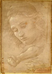 Hoofd van een jongeling, tekening uit een pagina van "Libro dei Desegni" door Georgio Vasari
