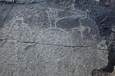Indiaanse rotstekeningen - Voorstellingen van dieren en symbolen - Petroglyph National Monument - Albuquerque, New Mexico, VS (USA)