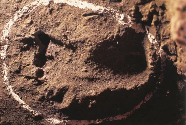 Italië, Ligurië, Grotten van Toirano, voetafdrukken van Prehistorische jager