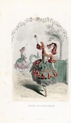 De granaatappelbloemfee danst - Les fleurs animées