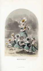 De madeliefjesfeeën met bloemenhoeden - Les fleurs animées