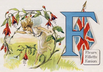 Letter F: Bloemen, Meisje, Vaandel (uit ABC L