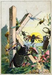 Letter K zoals Korrigans. Artistiek alfabet van Mr. Marinier. Uitgegeven door Henry Sicard, eind 19e eeuw. Reclamechromolithografieën voor producten verkocht in apotheken.
