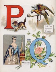 Letter P en Q: kleine kat, baars, papegaai en quenet, de juiste vergoeding. Gravure in "ABC L