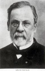 Louis Pasteur, Franse chemicus en microbioloog, ca. 1885