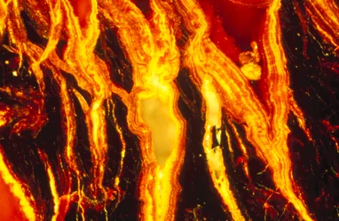 Metalen, mineralen, ferrometalen, LM ijzeroxide