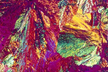 Micrografieën (Licht) Aluminium brons