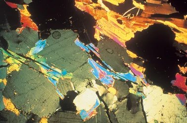 Micrografie (Licht) Zandsteen, licht micrografie