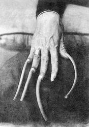 Monsterlijke bijzonderheid: een hand met zeer lange nagels. China 1910
