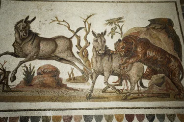 Mozaïek van dierengevecht: tijger die twee nachtdieren aanvalt. II n.Chr./Musée d