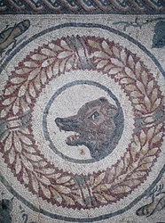 Mozaïek van het peristilium. Detail van een berenkop. 3e - 4e eeuw. Romeinse Villa van de Casale, Sicilië. UNESCO-site.